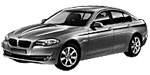 BMW F10 U0519 Fault Code